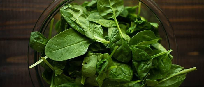 Fresh Spinach 