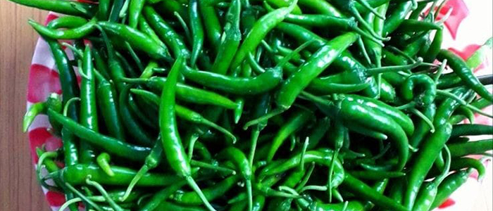 Fresh Green Chillies 